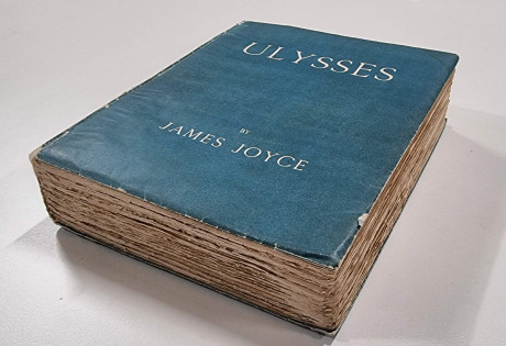 Novel