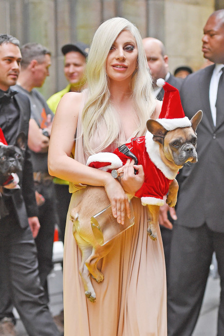 Lady Gaga Cops Probing Whether Dognapper Shooting Was Politically Motivated After She Sang At S