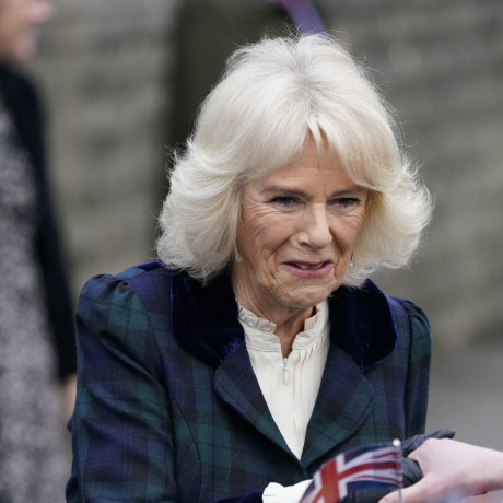 Camilla Increasingly High Profile After Public Warmed To Queen Consort Idea Daily