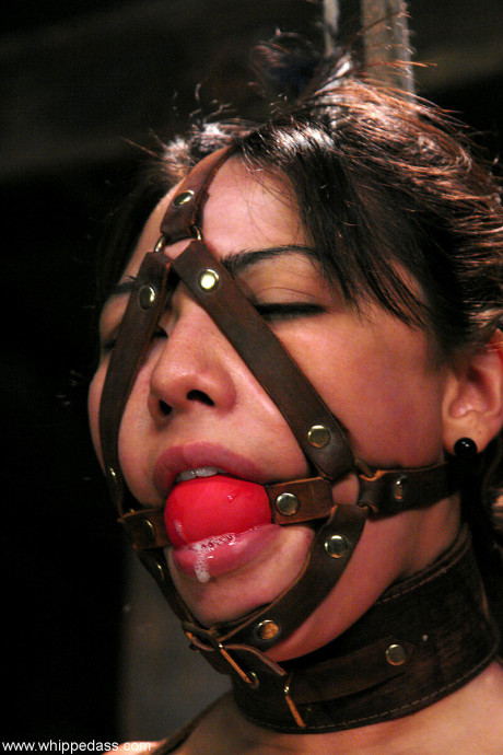 Whippedass Lielani Nikki Nievez Busting Bondage Wallpapersex Porn Javbtc