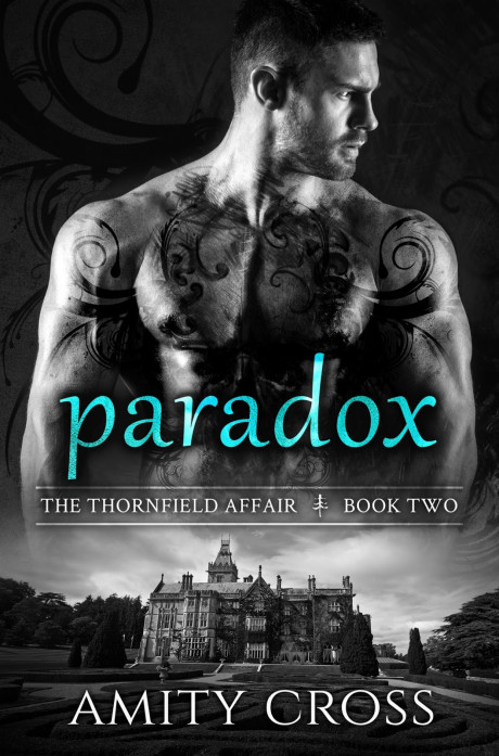 Release Blitz Paradox Amity